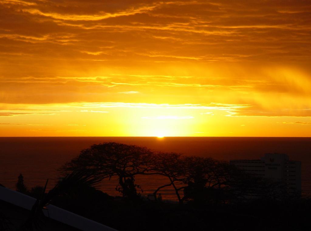 Umbrella Tree B&B Durban Eksteriør bilde