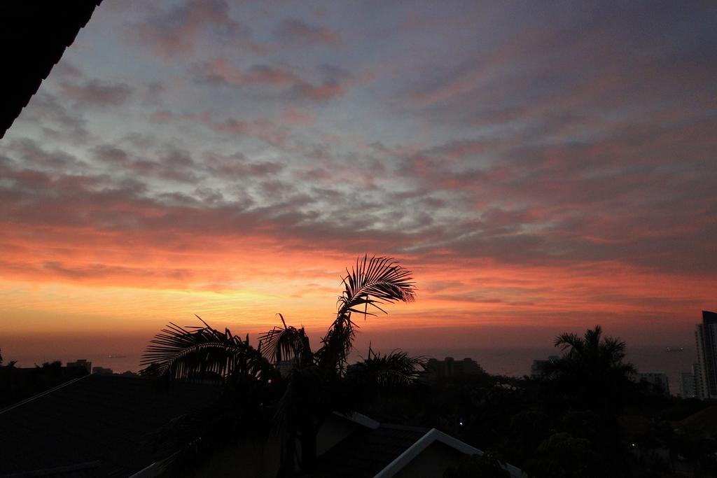 Umbrella Tree B&B Durban Eksteriør bilde